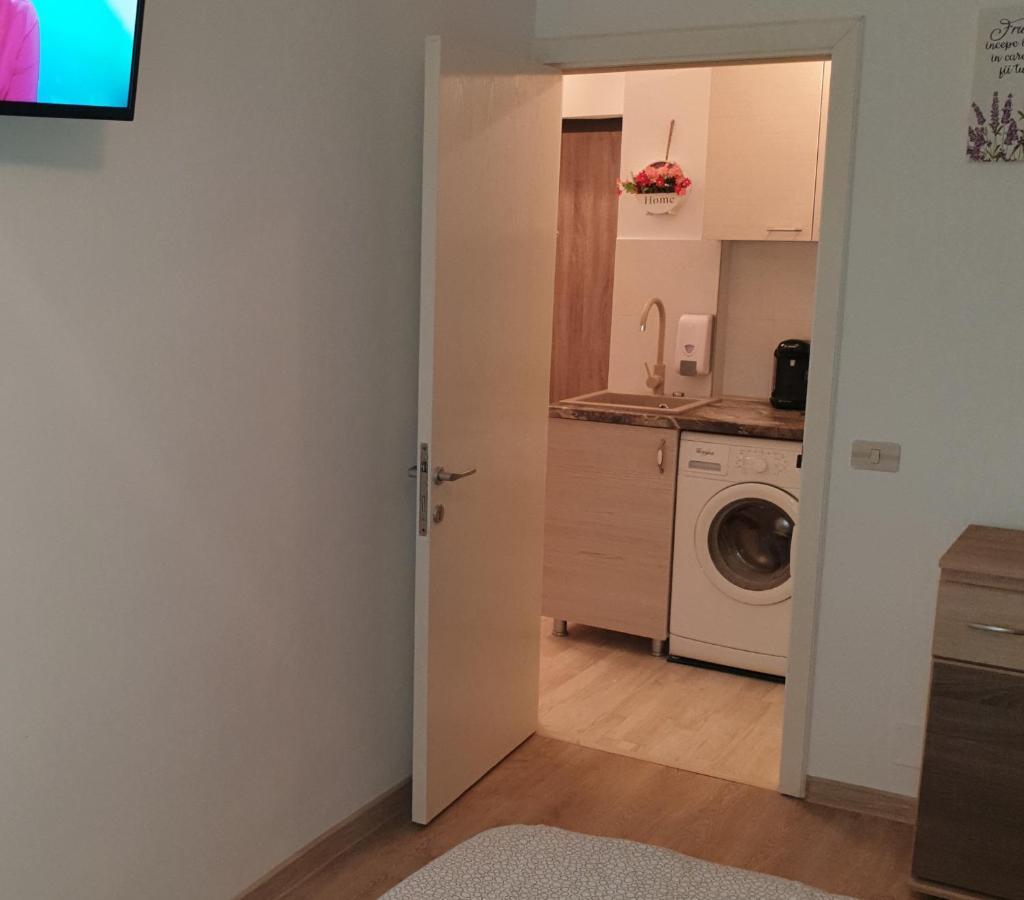 Apartament Viorela Alba Iulia Bagian luar foto