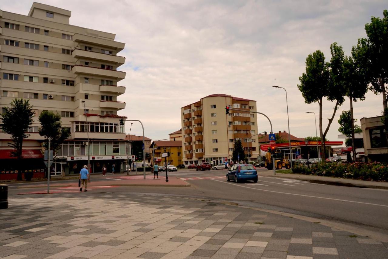 Apartament Viorela Alba Iulia Bagian luar foto