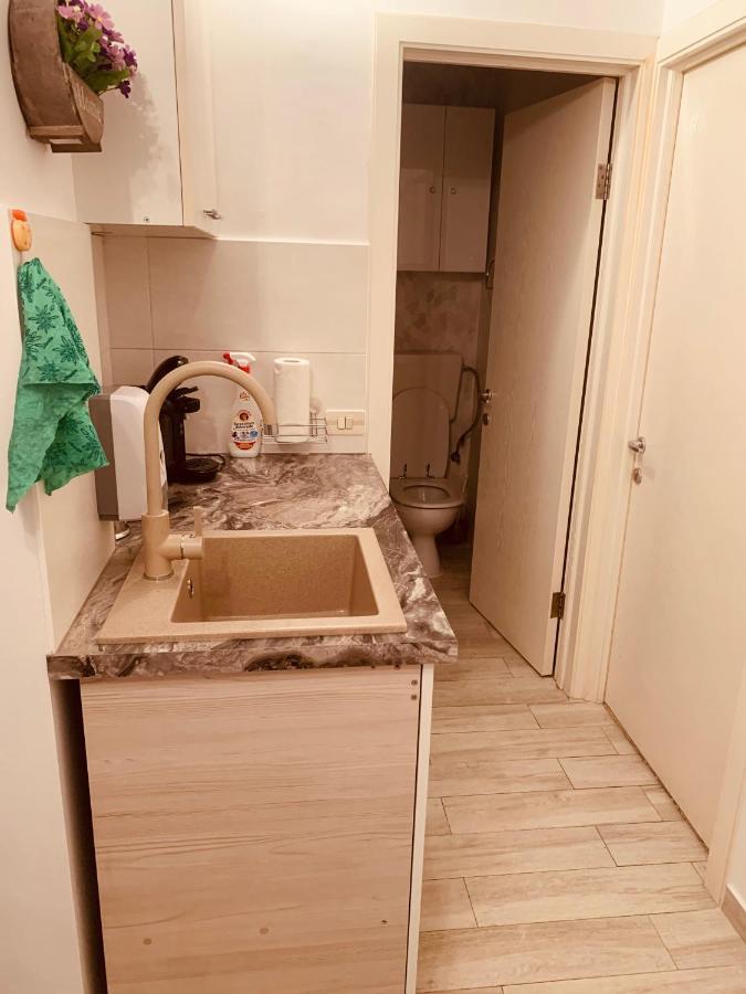 Apartament Viorela Alba Iulia Bagian luar foto